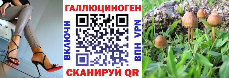 Галлюциногенные грибы Magic Shrooms  Купить где  Старый Крым 